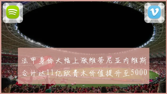 法甲身价大幅上涨维蒂尼亚内维斯合计达11亿欧青木价值提升至5000万