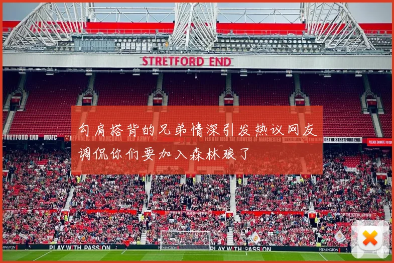 勾肩搭背的兄弟情深引发热议网友调侃你们要加入森林狼了