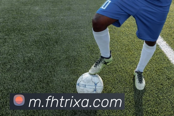 FH体育品牌故事